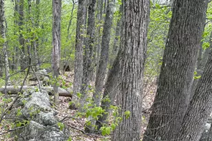 Lot #042 Tower Rd, Vienna, ME 04360 - Photo 1