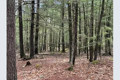 48 Highland Ridge, Hollis, ME 04042 - Photo 59