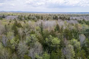 516 Bayside Rd, Ellsworth, ME 04605 - Photo 65
