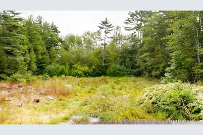 13 Black Bear Road, Fryeburg, ME 04037 - Photo 31