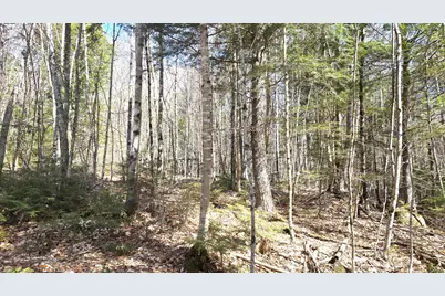 357 Old Tower Road, Lakeville, ME 04487 - Photo 9