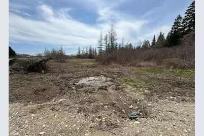 Lot 6 Holmes Bay Farms Road, Whiting, ME 04691 - Photo 29