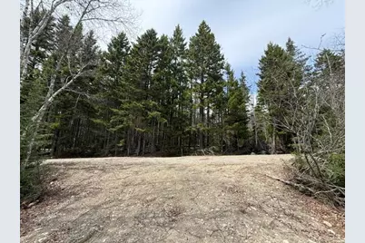Lot 6 Holmes Bay Farms Road, Whiting, ME 04691 - Photo 47