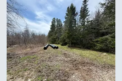 Lot 6 Holmes Bay Farms Road, Whiting, ME 04691 - Photo 43