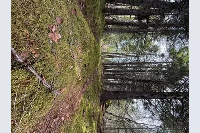 Lot 6 Holmes Bay Farms Road, Whiting, ME 04691 - Photo 57