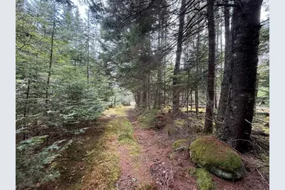 Lot 6 Holmes Bay Farms Road, Whiting, ME 04691 - Photo 55