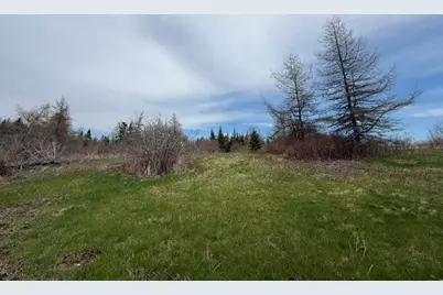 Lot 6 Holmes Bay Farms Road, Whiting, ME 04691 - Photo 31