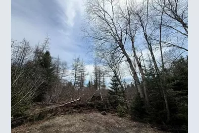 Lot 6 Holmes Bay Farms Road, Whiting, ME 04691 - Photo 49
