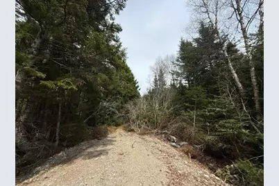 Lot 6 Holmes Bay Farms Road, Whiting, ME 04691 - Photo 61