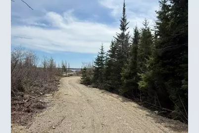Lot 6 Holmes Bay Farms Road, Whiting, ME 04691 - Photo 53