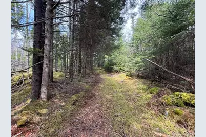 Lot 6 Holmes Bay Farms Road, Whiting, ME 04691 - Photo 59
