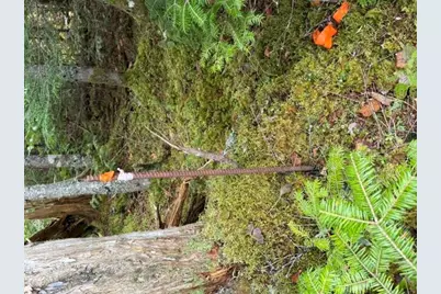 Lot 6 Holmes Bay Farms Road, Whiting, ME 04691 - Photo 63