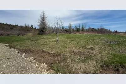 Lot 6 Holmes Bay Farms Road, Whiting, ME 04691 - Photo 33