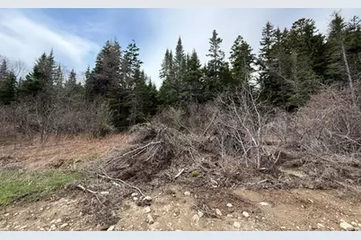 Lot 6 Holmes Bay Farms Road, Whiting, ME 04691 - Photo 39