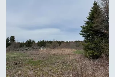 Lot 6 Holmes Bay Farms Road, Whiting, ME 04691 - Photo 37