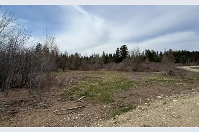 Lot 6 Holmes Bay Farms Road, Whiting, ME 04691 - Photo 35