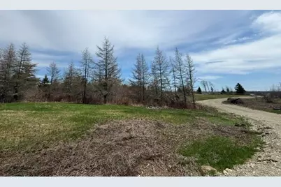 Lot 6 Holmes Bay Farms Road, Whiting, ME 04691 - Photo 41
