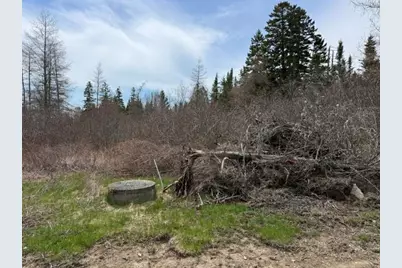 Lot 5 Holmes Bay Farms Road, Whiting, ME 04691 - Photo 15