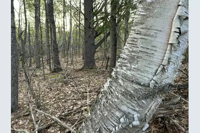M46,L19,23 River Road, Bucksport, ME 04416 - Photo 13