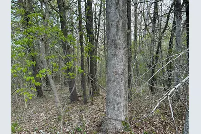 M46,L19,23 River Road, Bucksport, ME 04416 - Photo 25