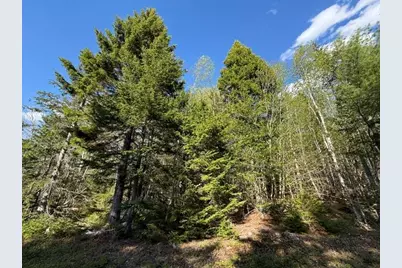 Lot 13 Pidgeon Point Road, Whiting, ME 04691 - Photo 1