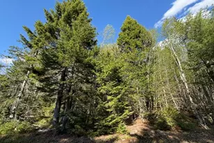 Lot 13 Pidgeon Point Rd, Whiting, ME 04691 - Photo 1