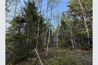 Lot 13 Pidgeon Point Road, Whiting, ME 04691 - Photo 15