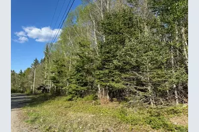 Lot 13 Pidgeon Point Road, Whiting, ME 04691 - Photo 17