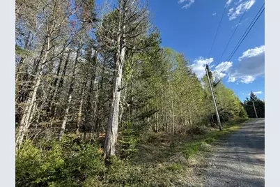 Lot 13 Pidgeon Point Road, Whiting, ME 04691 - Photo 13
