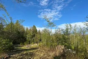 Map7Lot9 Wm Livermore Rd, Fayette, ME 04349 - Photo 1