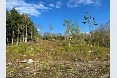 Map7Lot9 Wm Livermore Road, Fayette, ME 04349 - Photo 9