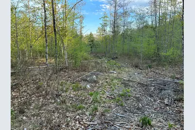 Map7Lot9 Wm Livermore Road, Fayette, ME 04349 - Photo 21