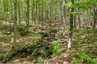 Lot 26 Rowe Hill Road, Greenwood, ME 04255 - Photo 39