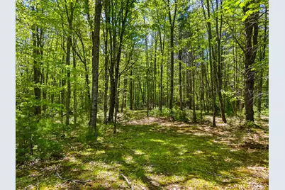 Lot 26 Rowe Hill Road, Greenwood, ME 04255 - Photo 17