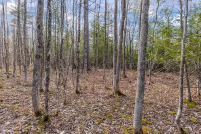 Lot 45-2 Pinewoods Trail, Oakland, ME 04963 - Photo 31