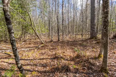 Lot 45-2 Pinewoods Trail, Oakland, ME 04963 - Photo 33