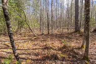 Lot 45-2 Pinewoods Trail, Oakland, ME 04963 - Photo 33