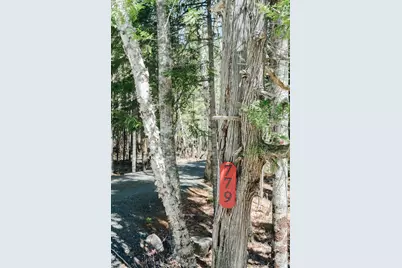 779 Paul Bunyan Road, Gouldsboro, ME 04607 - Photo 59