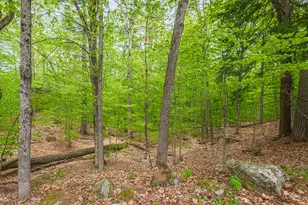 17 Packard Ave, Norway, ME 04268 - Photo 115