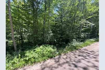 Lot 19 Thomas Pond Shore Road, Casco, ME 04015 - Photo 5