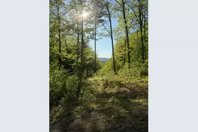 Lot 9 McDaniels Road, Waterford, ME 04088 - Photo 5