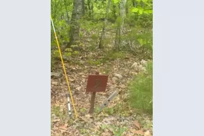 Lot 9 McDaniels Road, Waterford, ME 04088 - Photo 9