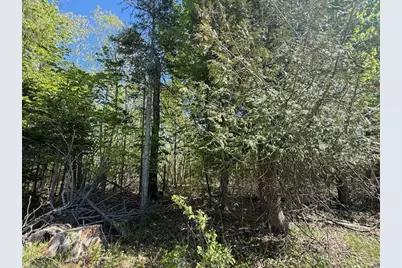 0 Brookside Road, Orland, ME 04472 - Photo 11
