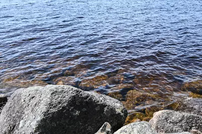 101 Loon Drive, Sullivan, ME 04664 - Photo 23