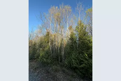 Lot 009 Off Of Reynolds Brook Road, Whiting, ME 04691 - Photo 11