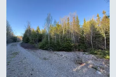 Lot 009 Off Of Reynolds Brook Road, Whiting, ME 04691 - Photo 9