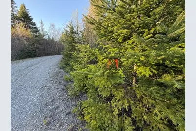 Lot 009 Off Of Reynolds Brook Road, Whiting, ME 04691 - Photo 7