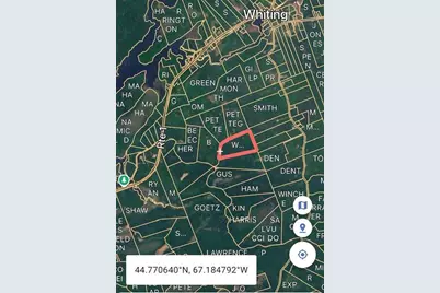 Lot 009 Off Of Reynolds Brook Road, Whiting, ME 04691 - Photo 3