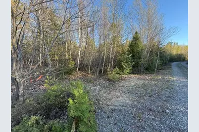 Lot 009 Off Of Reynolds Brook Road, Whiting, ME 04691 - Photo 13