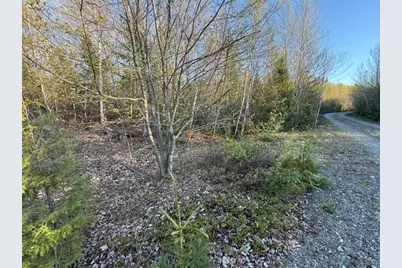 Lot 009 Off Of Reynolds Brook Road, Whiting, ME 04691 - Photo 15